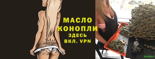 гашик Гусь-Хрустальный