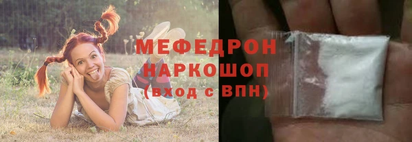 гашик Гусь-Хрустальный
