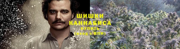 гашик Гусь-Хрустальный
