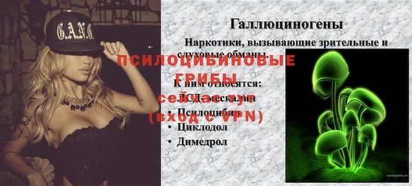 гашик Гусь-Хрустальный