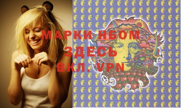гашик Гусь-Хрустальный