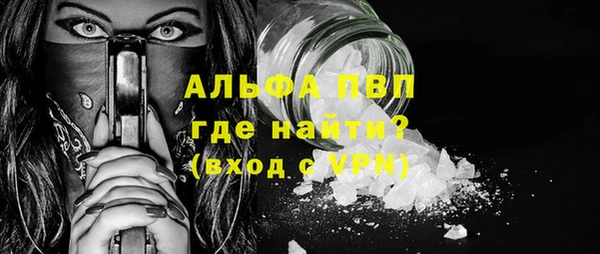 гашик Гусь-Хрустальный